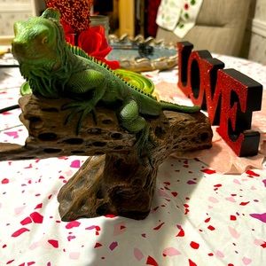 Handpainted Iguana